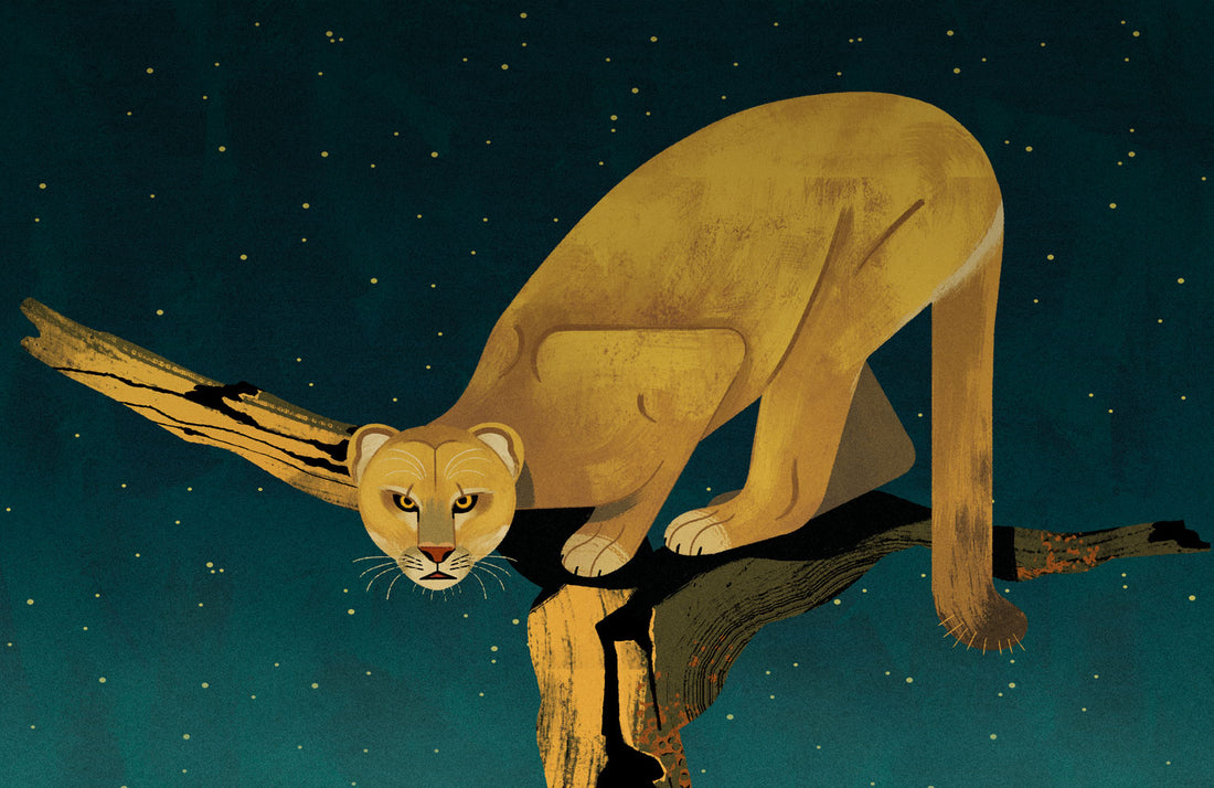 Great Basin National Park Poster (Night Variant)